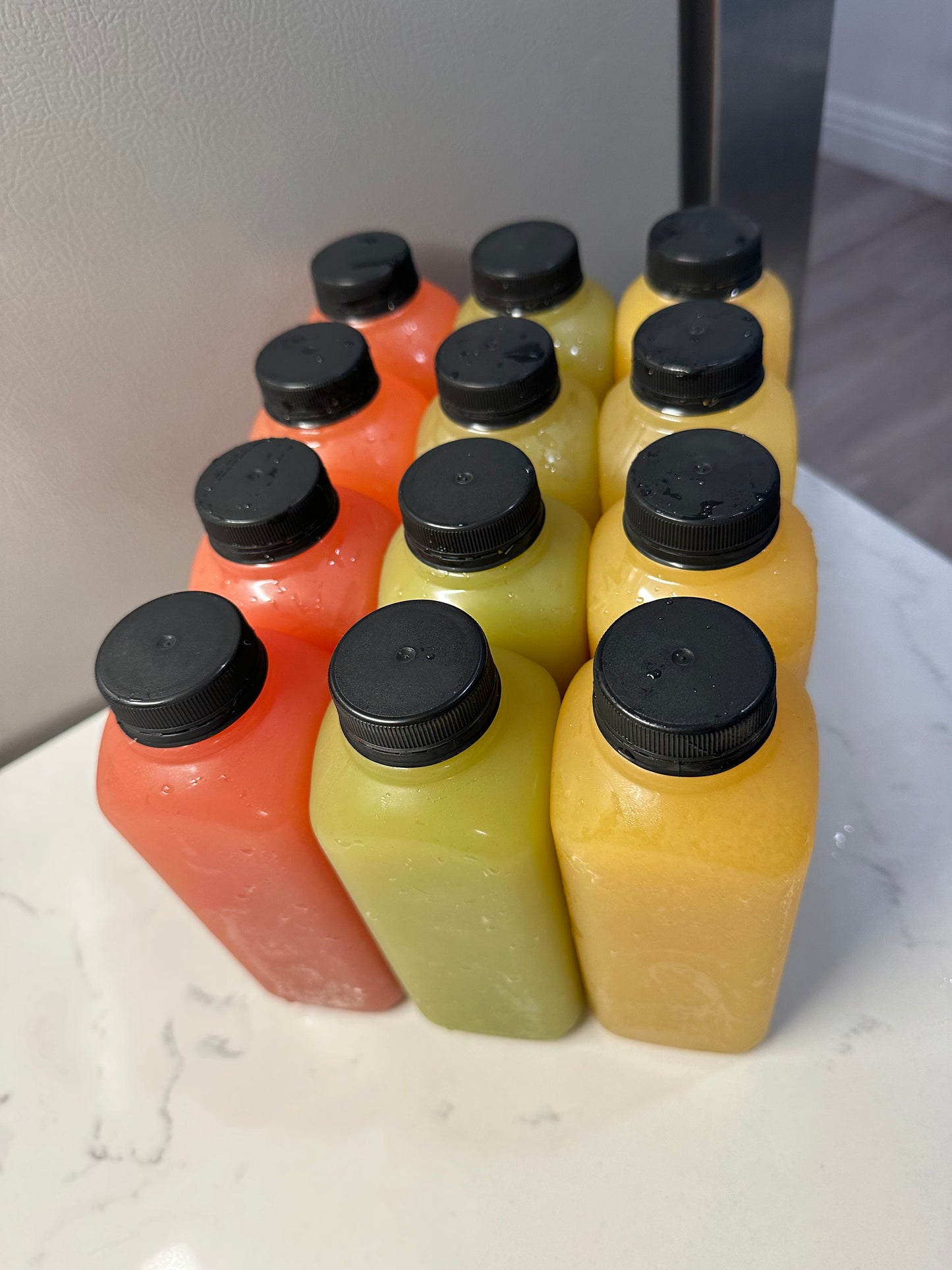 3 day Seamoss Juice cleanse (12 juices)